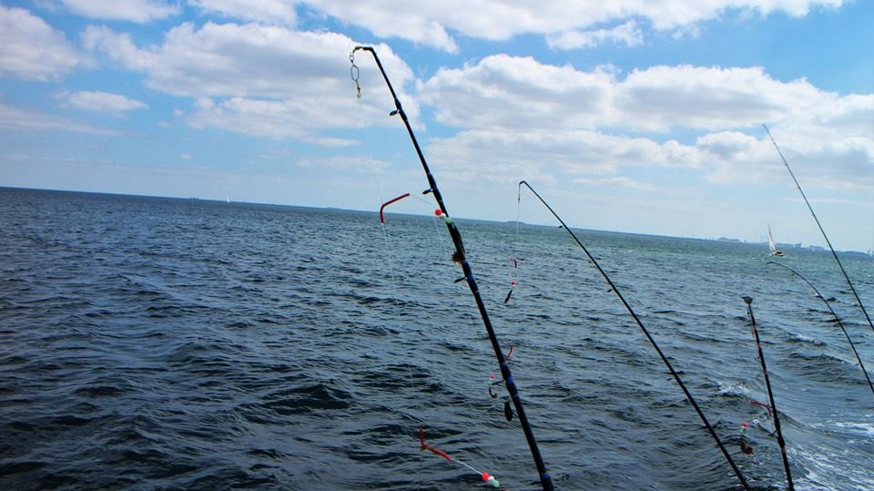 Lystfiskeri på Øresund // Fishing on the Sound . OBS! Ny sluttid:/return: 12.30