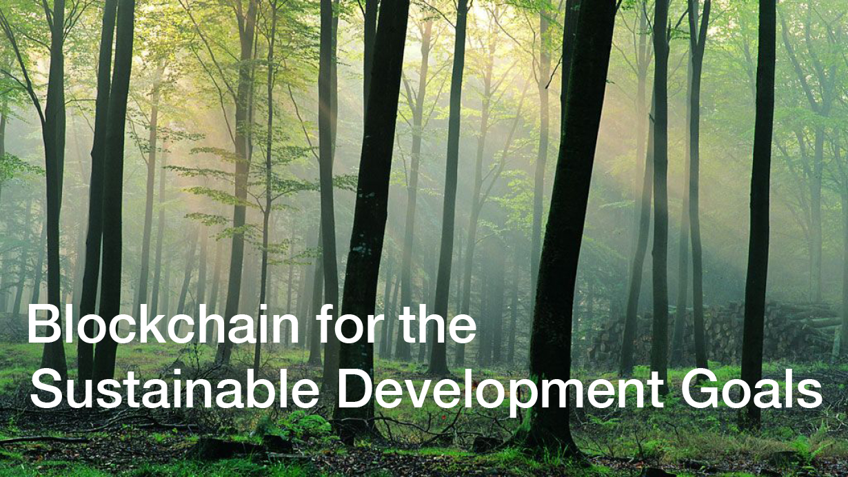 Blockchain for the Sustainable Development Goals