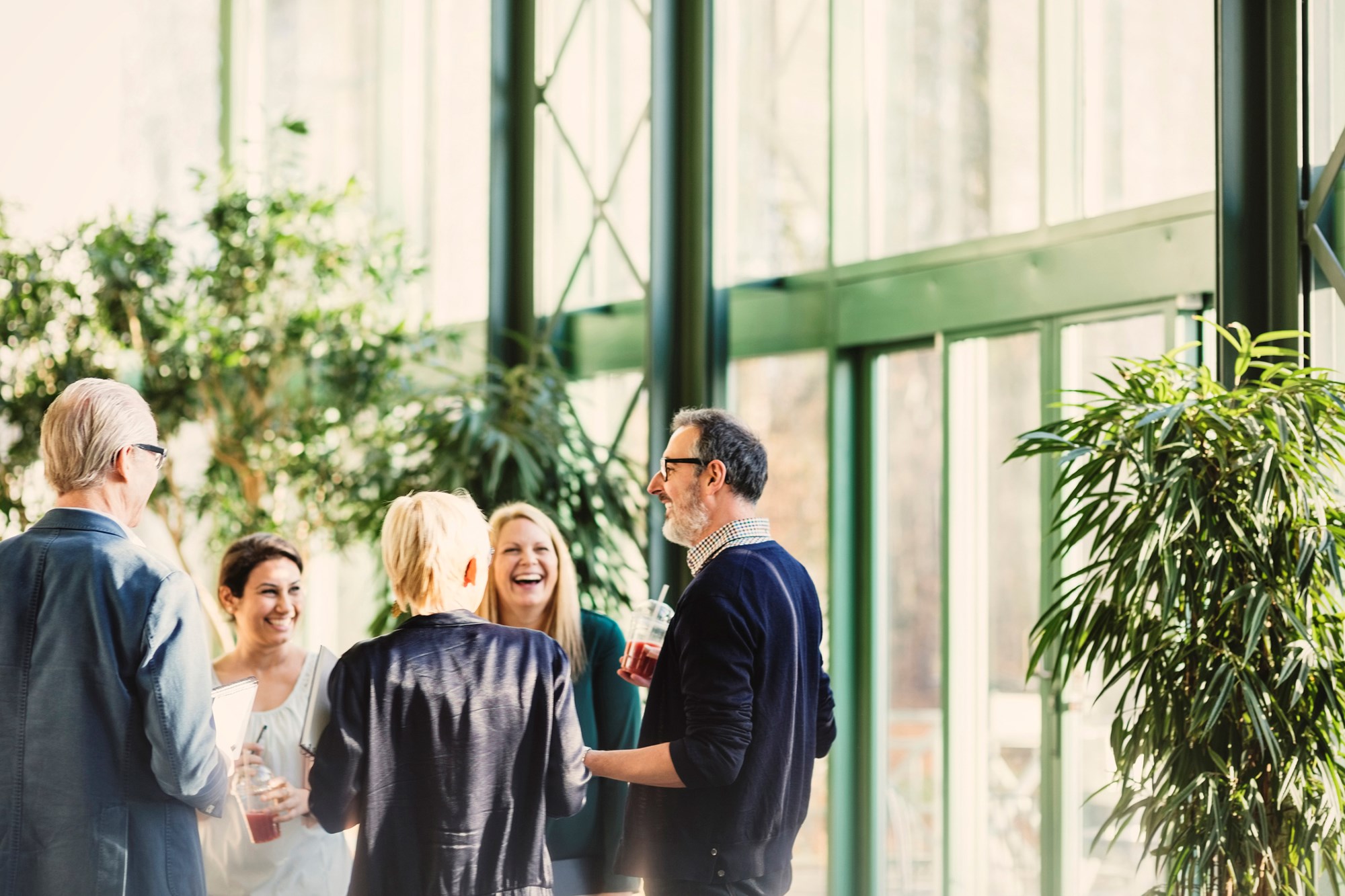 Danish Medical Writing Network: Interactions with health authorities