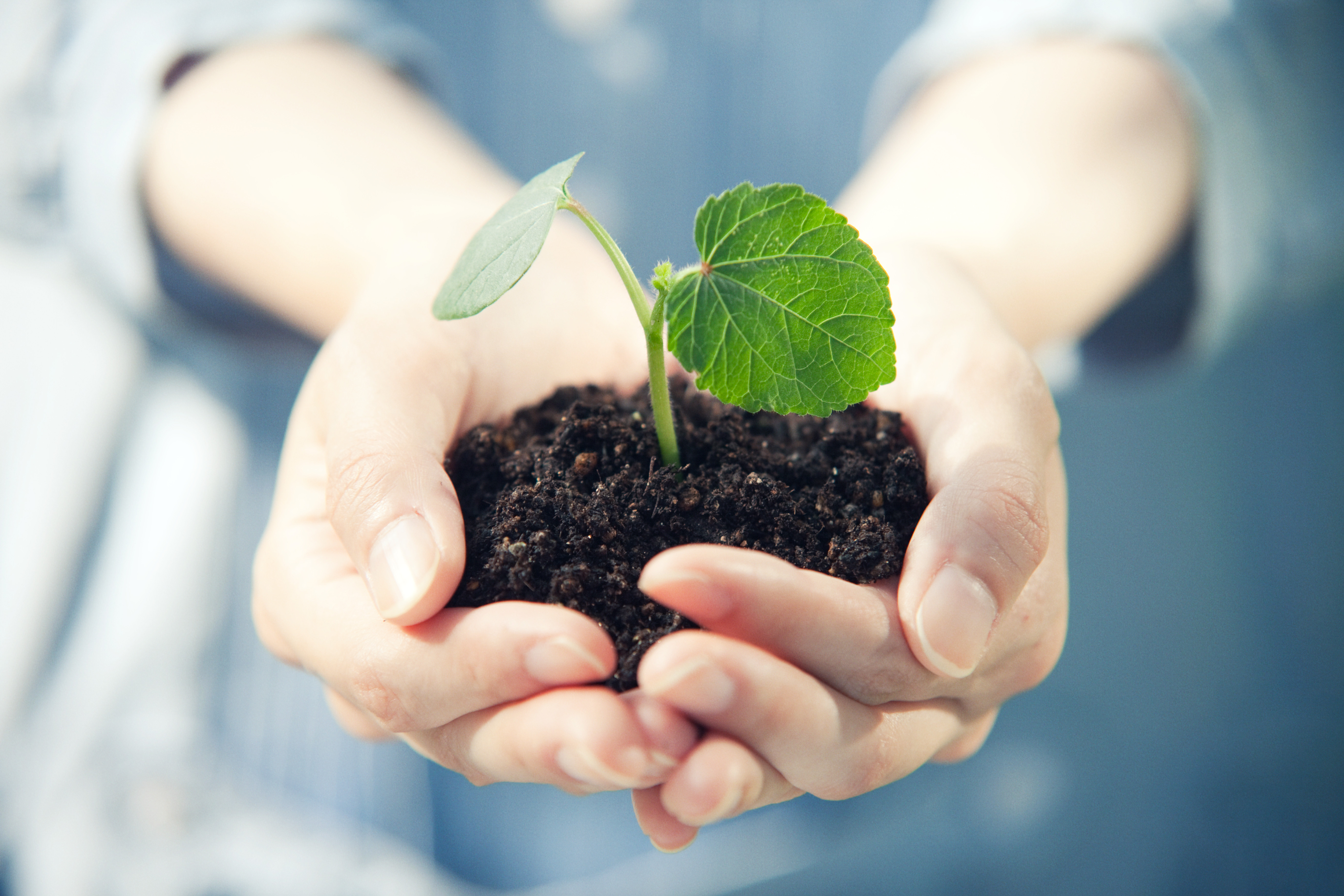Right to a Sustainable Nature - Rights for Scientists to Frame it