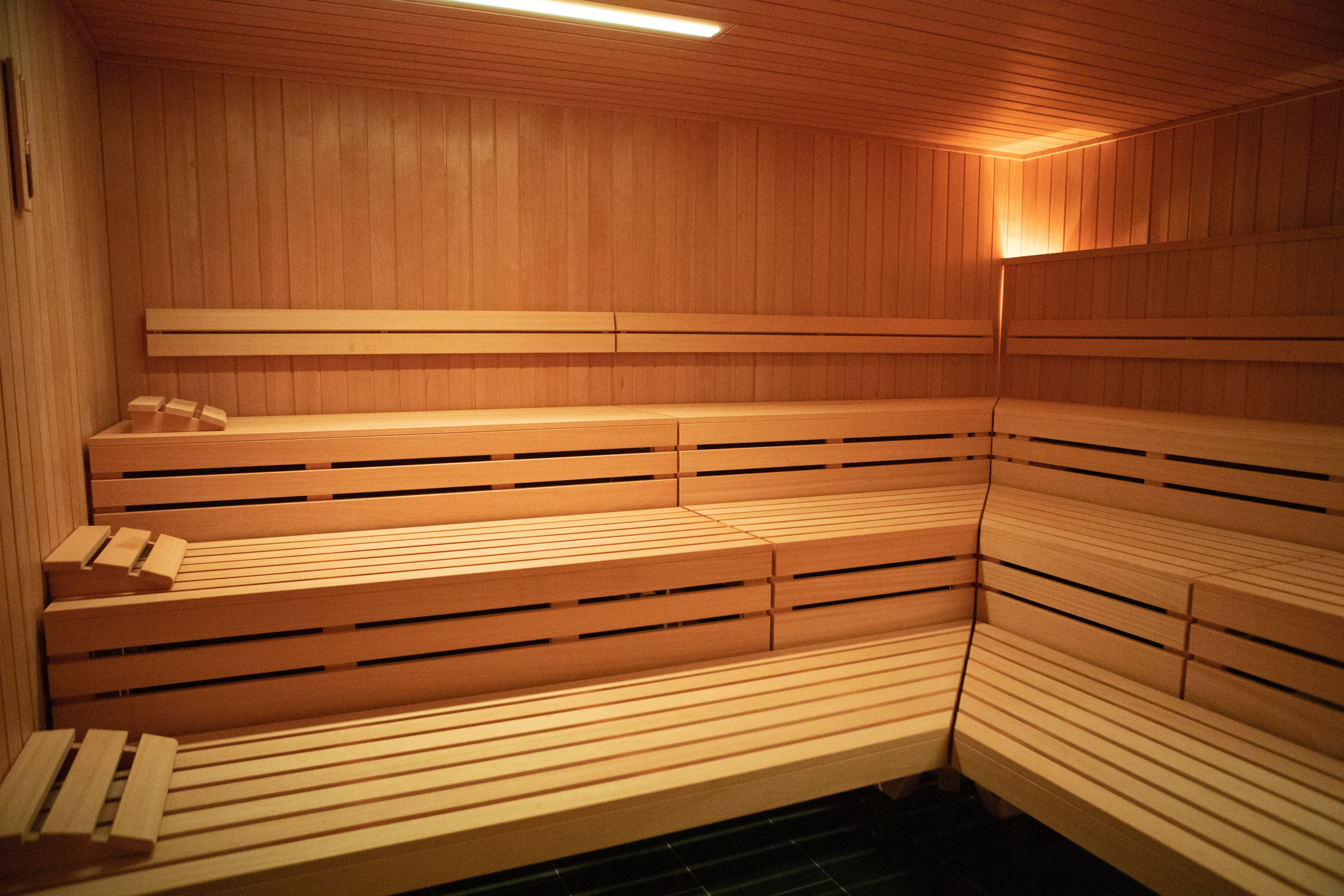 Wellness og Saunagus