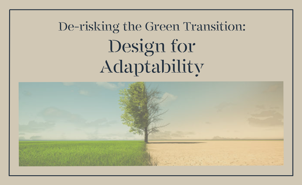 De-risking the Green Transition: Design for Adaptability
