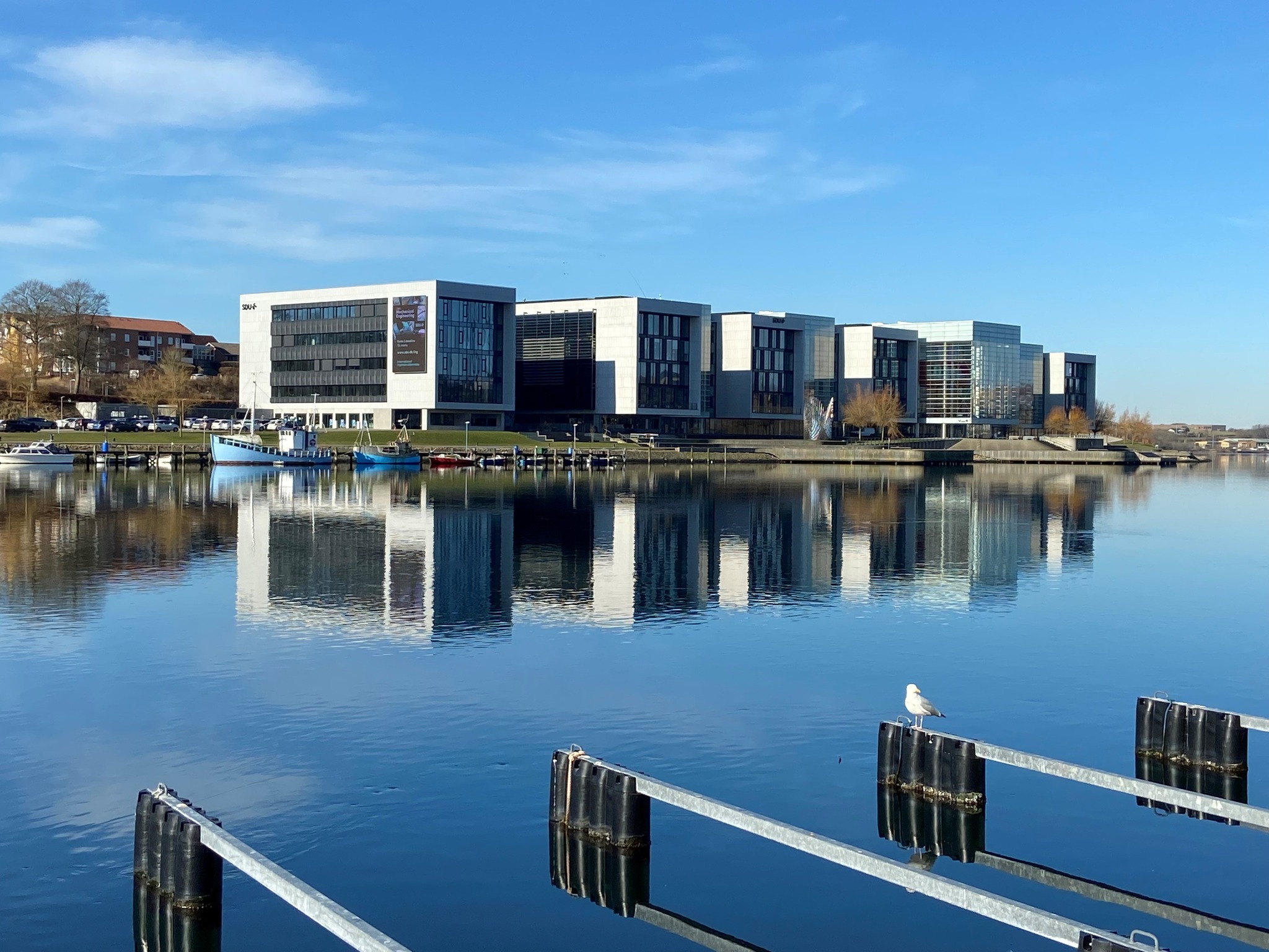 The new Software Engineering Education at SDU Sønderborg