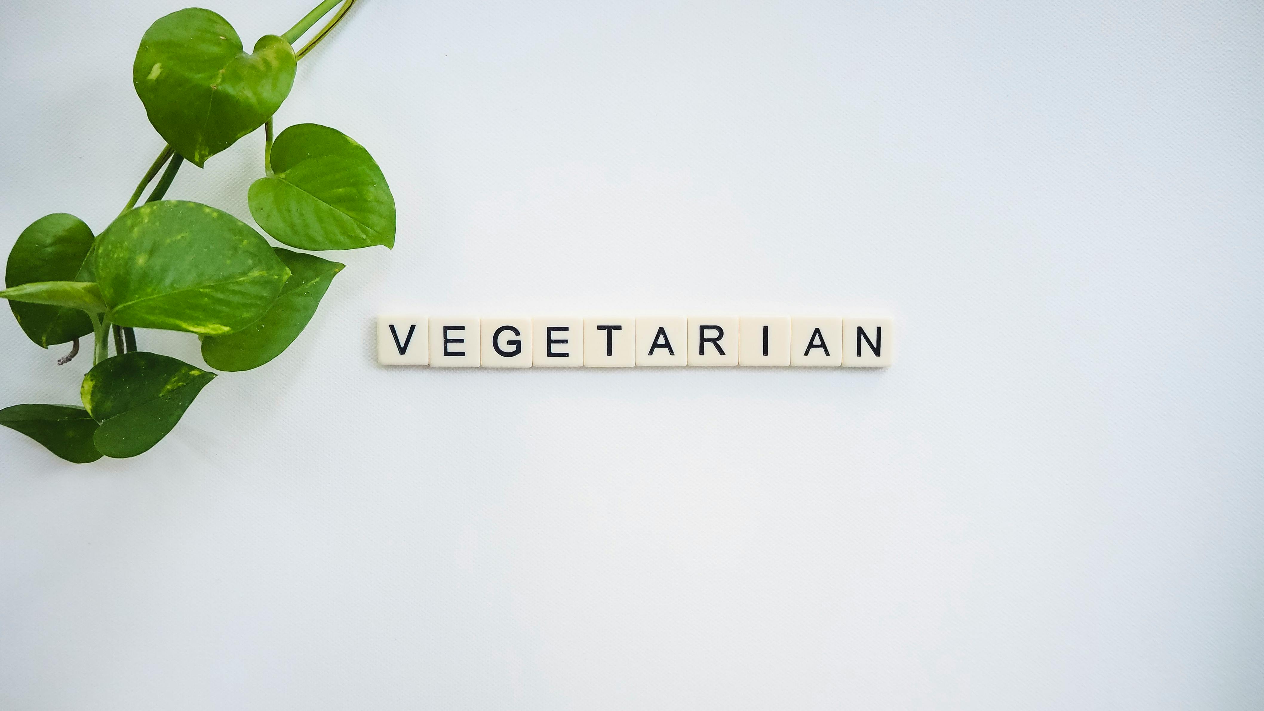 Decoding the truth about vegetarian diets and our health - Webinar Forskningens døgn