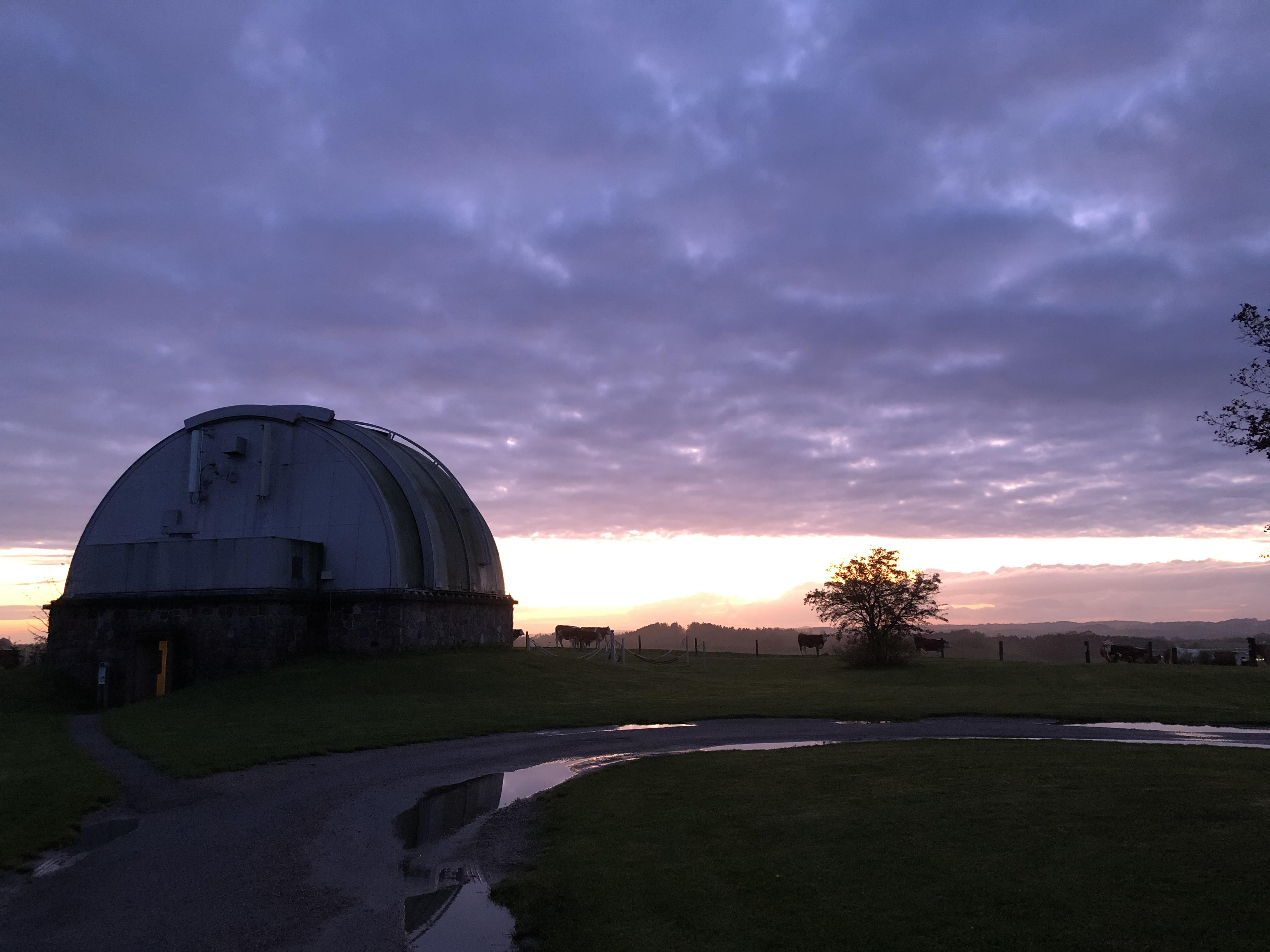 Region Sjællands Sommerkur på Brorfelde – Danmarks Naturvilde Oplevelsescenter