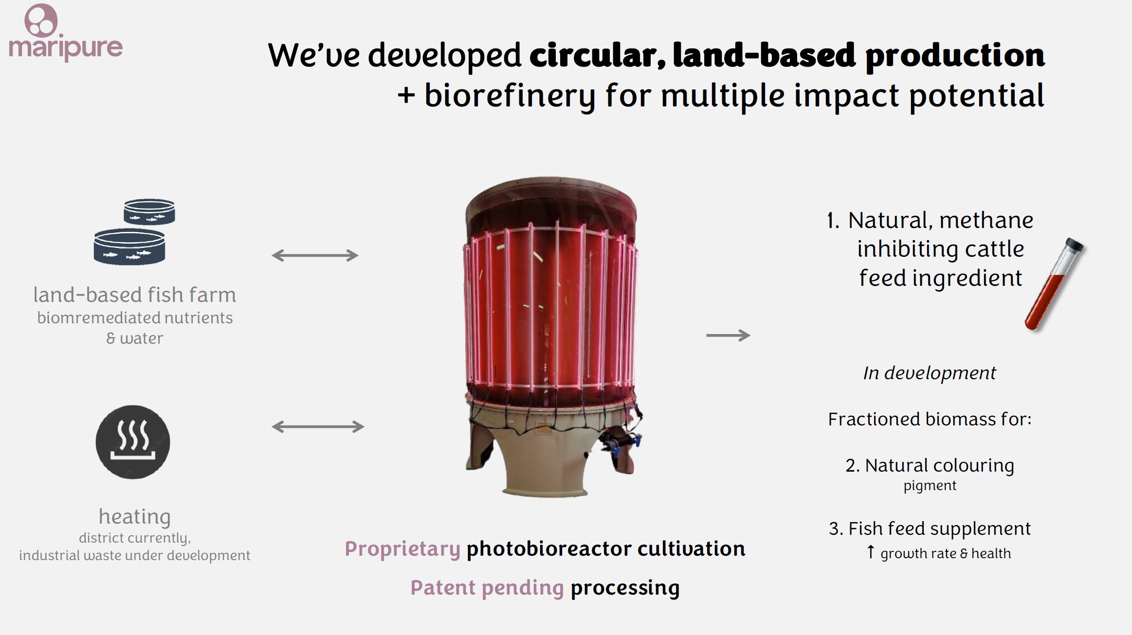 CANCELLED - Reducing cattle emmisson with macroalgae feed