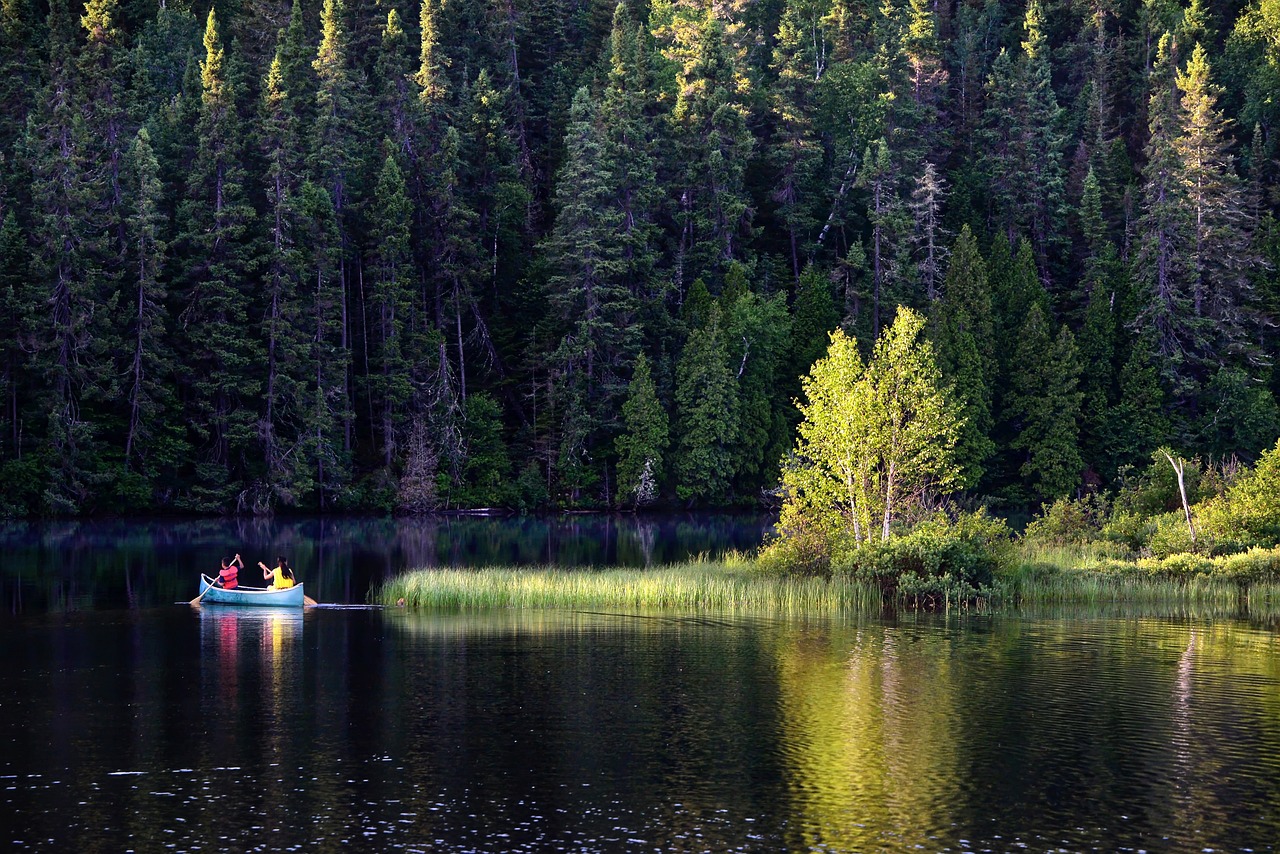 Canoe trip in the forest