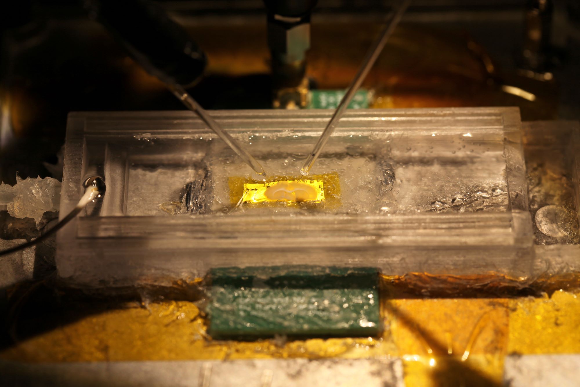 CANCELLED - From colour centres in diamond to biomedical quantum sensing