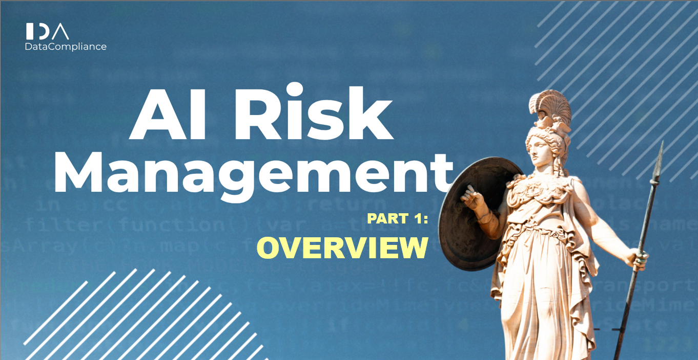 AI Risk Management, Part 1: Overview