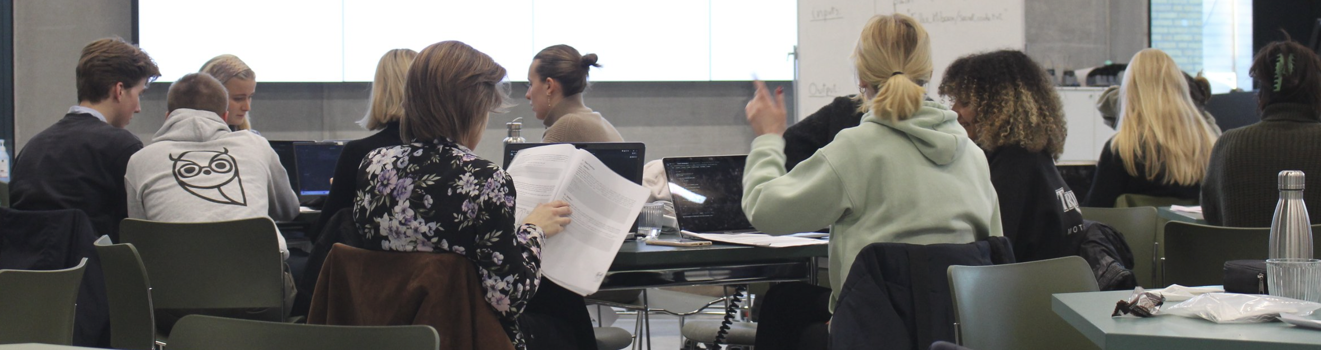 HiBoox Math 1a Crash Course – DTU Intensive Exam Preparation Weekend