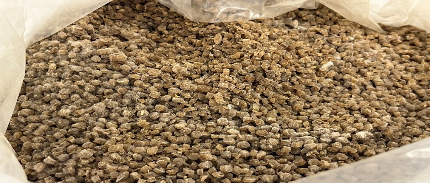 Virtuelt Deep Dive: Biodegradable Bioplastic - from idea to final product - online